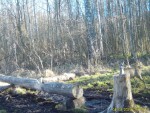 imag0053-ks-samka-0-00150