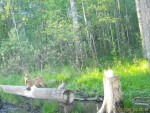 imag0058-ks-samka-i-0