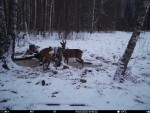 imag0059-ks-3-samki-i-sam