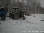 imag0061-kormlenie-0-0024