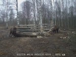imag0061-zu-2-cheshetsya-