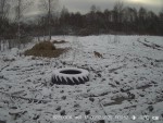 imag0066-li-0-000511-21-0