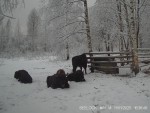 imag0068-zu-4-cheshitsya-