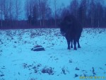 imag0069-zu-1-pervyj-prih