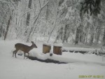 imag0072-ks-samka-0-00001