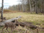 imag0073-ks-samka-0-00006