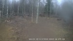 imag0073-zu-otdyhayut-0-0