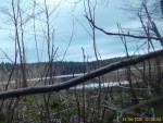 imag0075-seraya-caplya-00