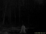 imag0075-vo-0-mov_snapsho