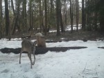 imag0078-ks-samka-0-00001