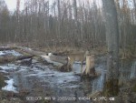 imag0078-ks-samka-0-00004