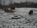 imag0079-zu-00-000063-21-