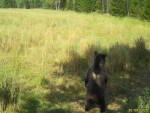 imag0080-me-stoit-i-yablo