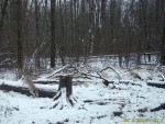 imag0085-vo-oblezlyj-00-0
