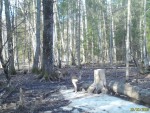 imag0092-ks-2-samca-0-001