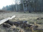 imag0092-ks-samka-000856-