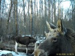 imag0093-lo-troe-0-mov_sn