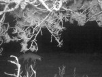 imag0094-li-000061-12-06-