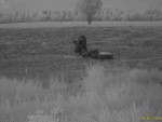 imag0097-ka-1-0-mov_snaps