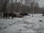 imag0098-zu-00-001531-21-