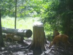 imag0102-ks-samka-i-kozle