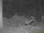 imag0104-ba-troe-0-000496