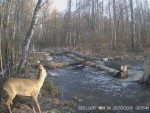 imag0105-ks-samka-0-00002