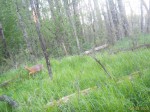 imag0105-ks-samka-0-mov_s