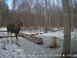 imag0105-lo-00-001954-12-