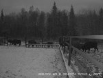 imag0105-zu-stado-10-i-2-