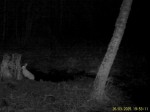 imag0106-za-00-mov_snapsh