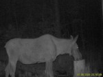 imag0109-lo-samka-0-00005