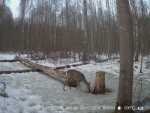 imag0114-ks-samka-0-00009