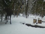 imag0114-lo-i-el-0-000856