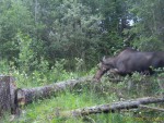 imag0115-lo-samka-0-00009