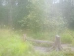 imag0116-vo-0-mov_snapsho