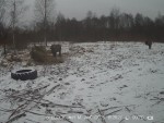 imag0116-zu-2-0-000286-20