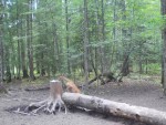 imag0118-ks-samka-0-00039