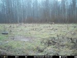 imag0119-ks-2