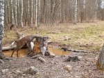 imag0121-ks-samka-i-0