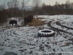 imag0124-zu-na-sene-00-00