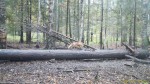 imag0130-li-00-000061-16-