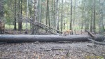 imag0130-li-00-000174-16-