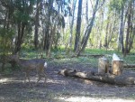 imag0135-ks-samka-0-mov_s