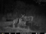imag0142-lo-samka-i-2-tel