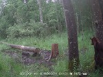 imag0142-me-na-derev0