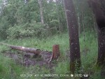 imag0142-me-na-dereve-000