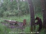 imag0142-me-na-dereve-001
