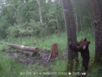 imag0142-me-na-dereve-002