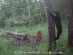 imag0142-me-na-dereve-003
